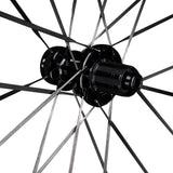 Branta C50 carbon wheels showing rear hubs and carbon spokes