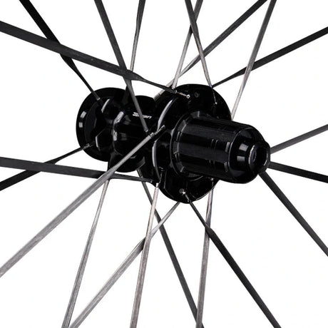 Branta C50 carbon wheels showing rear hubs and carbon spokes