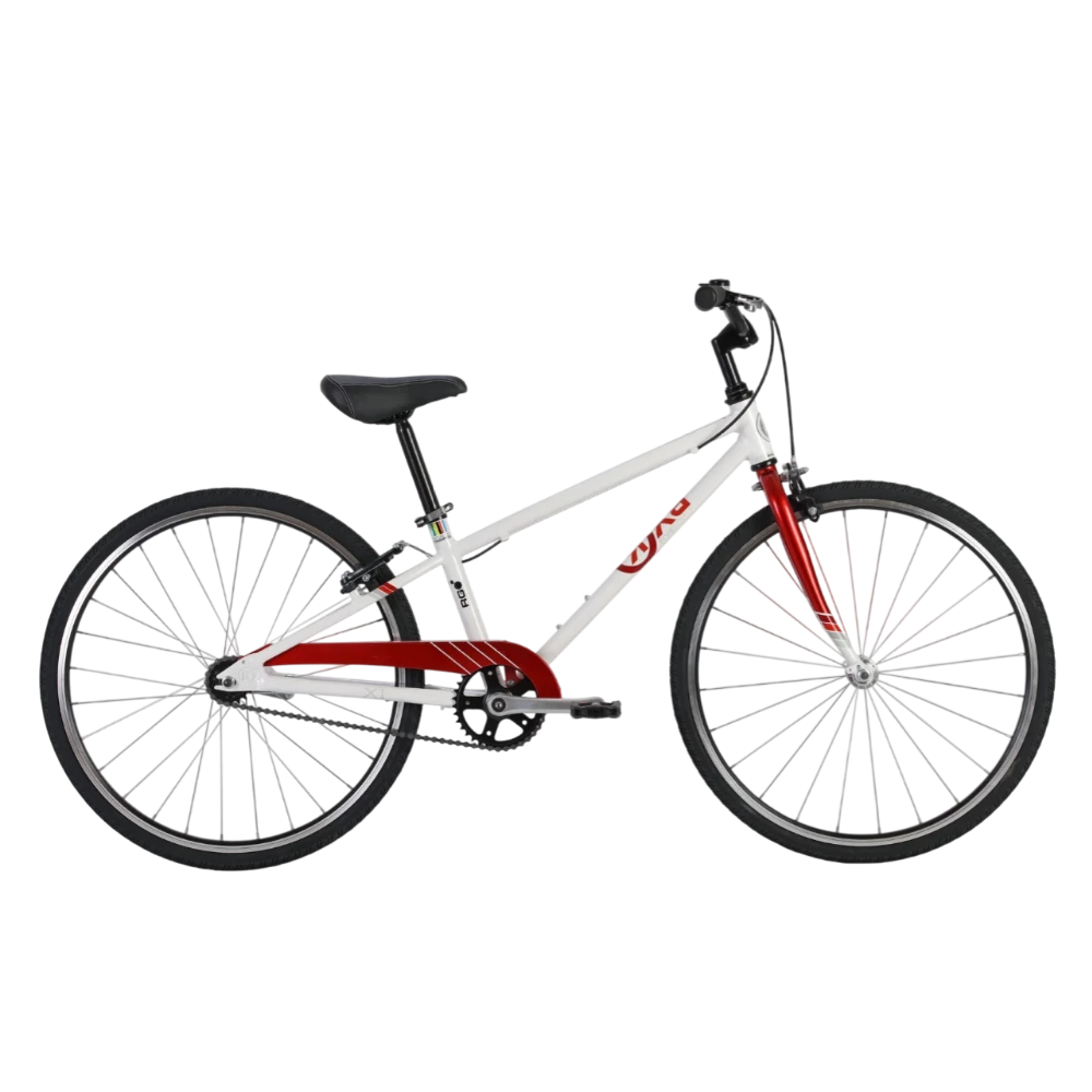 24" BYK E-540 Coaster Boys