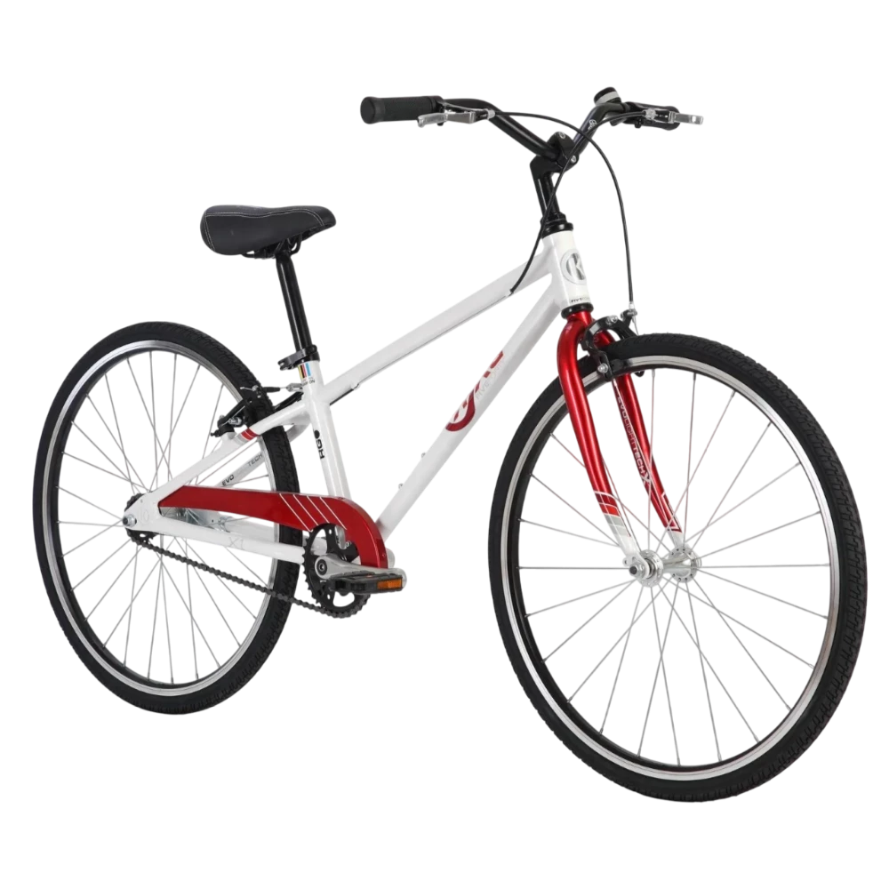 24" BYK E-540 Coaster Boys