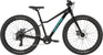 24" Cannondale Trail Plus (2026)
