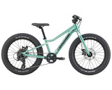 20" Cannondale Kids Trail Plus 20 (2026)