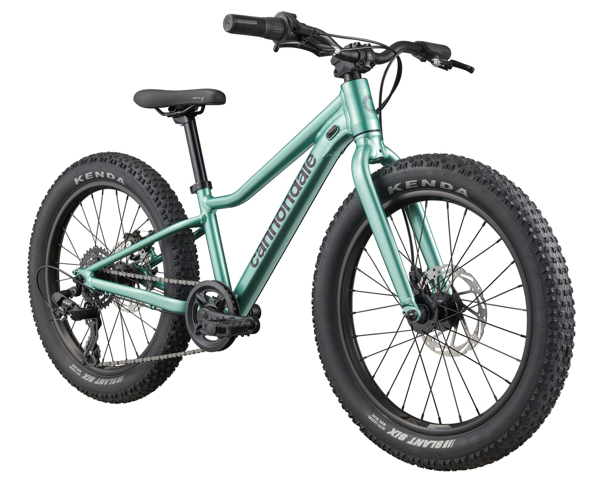20" Cannondale Kids Trail Plus 20 (2026)
