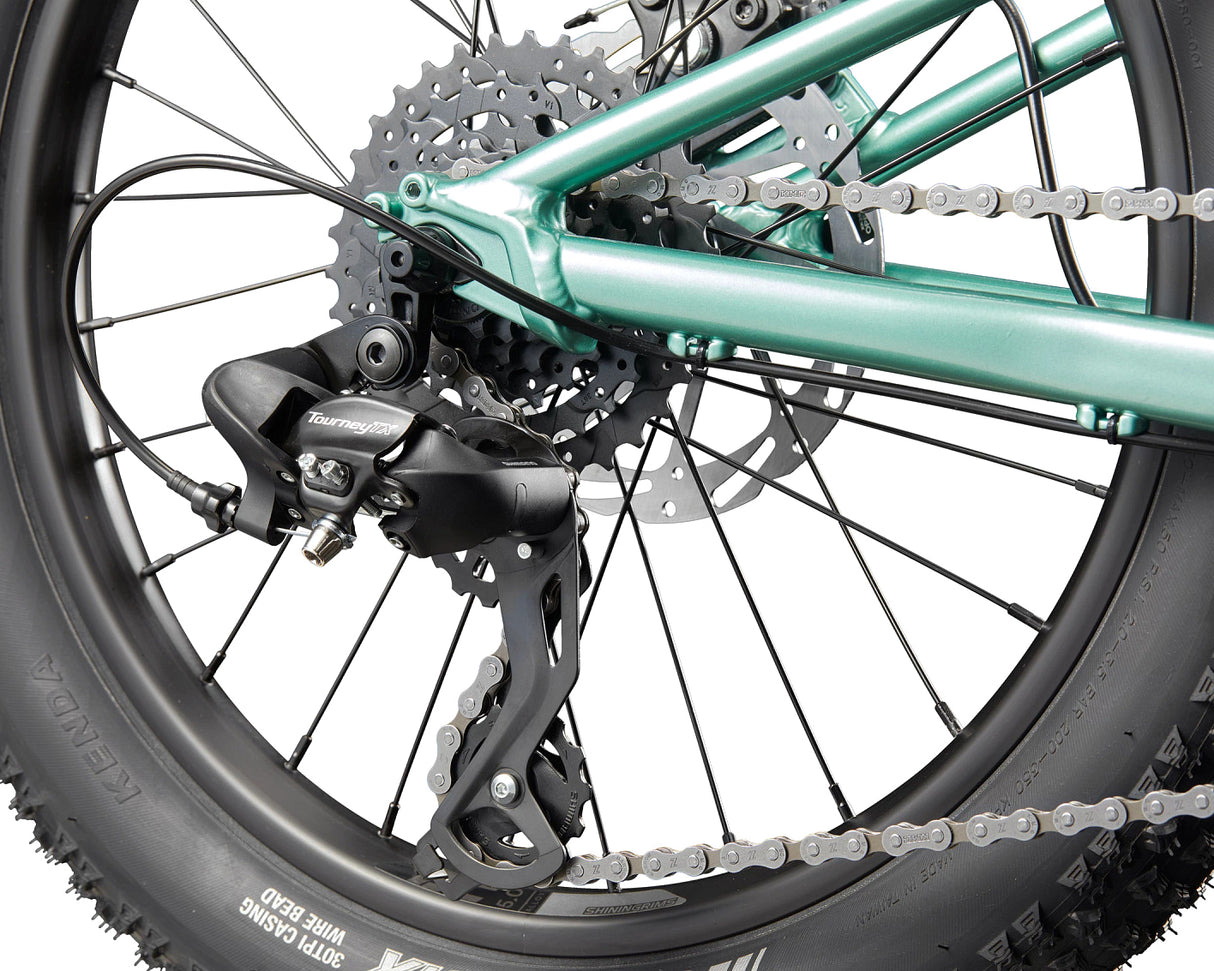 20" Cannondale Kids Trail Plus 20 (2026)