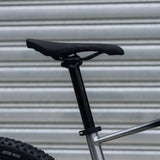 Cannondale Trail SL 4 1x