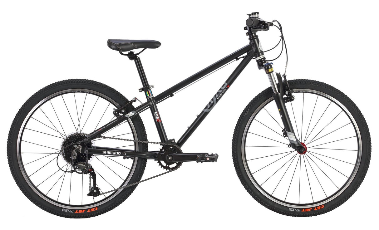 24" BYK E-540 MTB 9-Speed