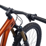 Giant Reign Advanced Pro 29 1 (2022)