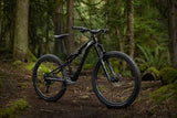 Giant Stance (2026)