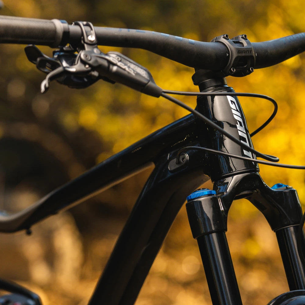 Giant Trance X 1 (2022)