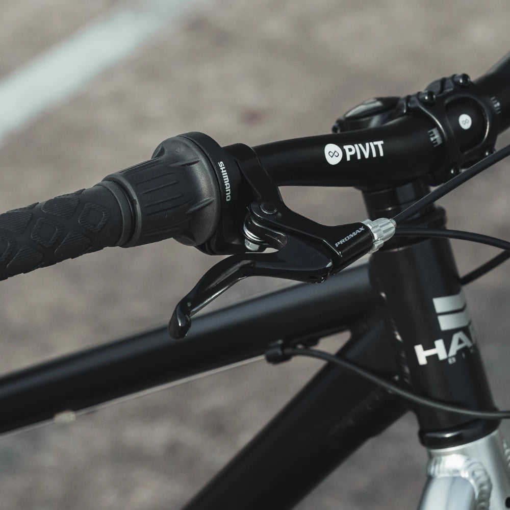 24" Haro Beasley 7-speed