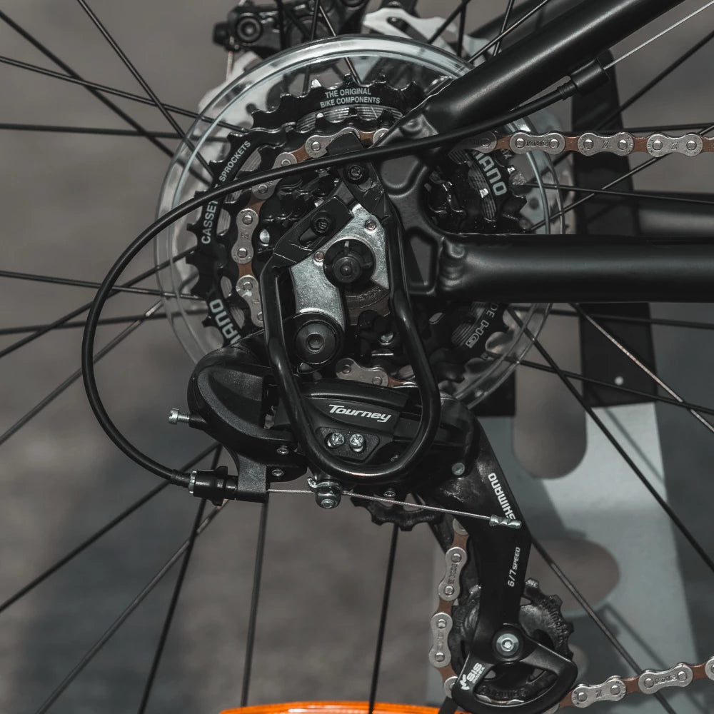 24" Haro Beasley 7-speed