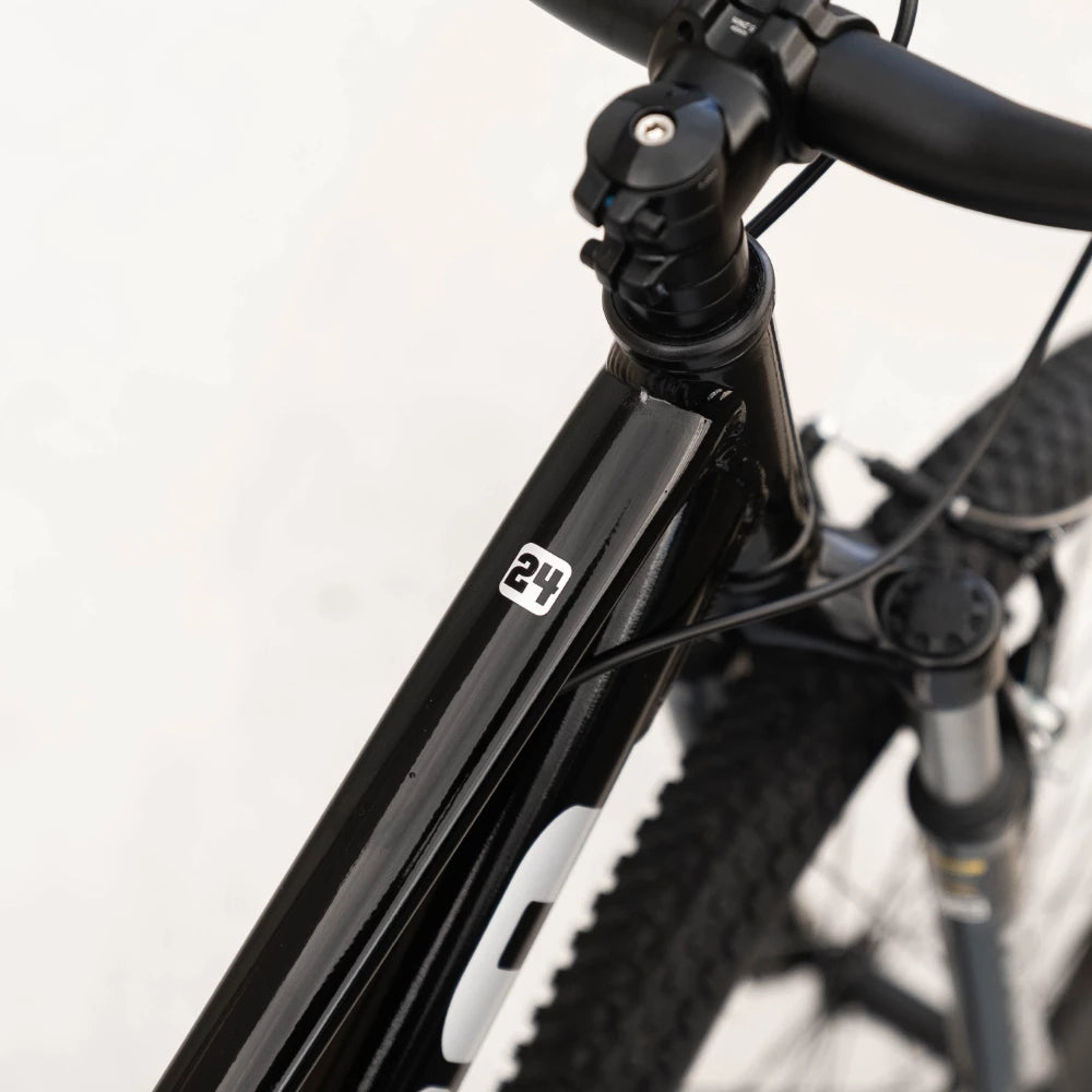 24" Haro Flightline JR 7-speed