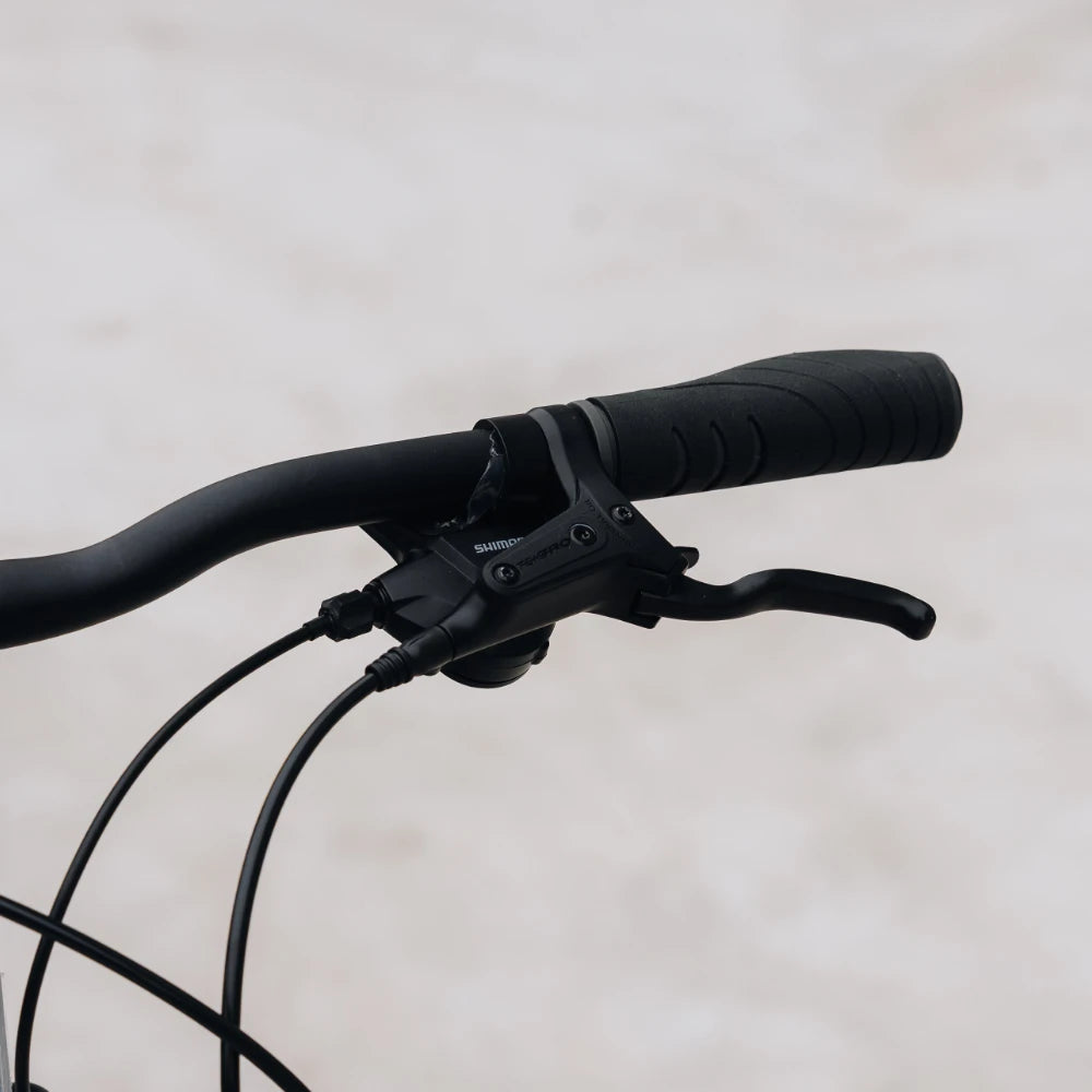 Jamis DXT A2 Step-Through