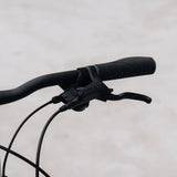Jamis DXT A2 Step-Through