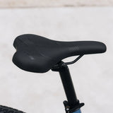 Jamis DXT A2 Step-Through