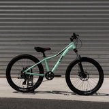 24" Link Aurora MTB Girls