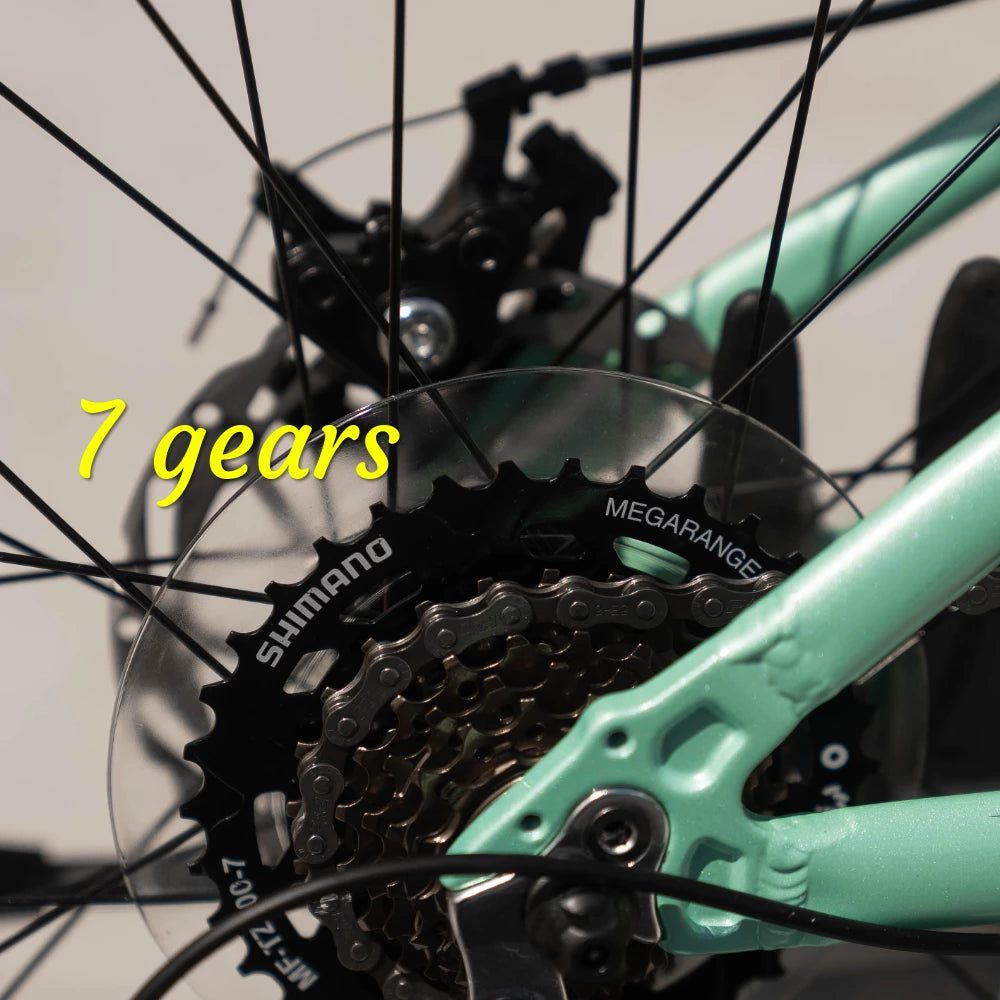 24" Link Aurora MTB Girls