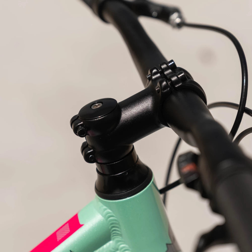 24" Link Aurora MTB Girls