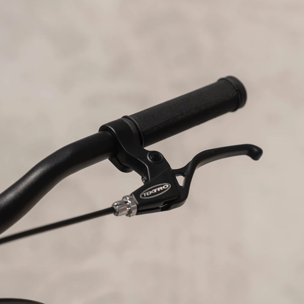 24" Link Aurora MTB Girls