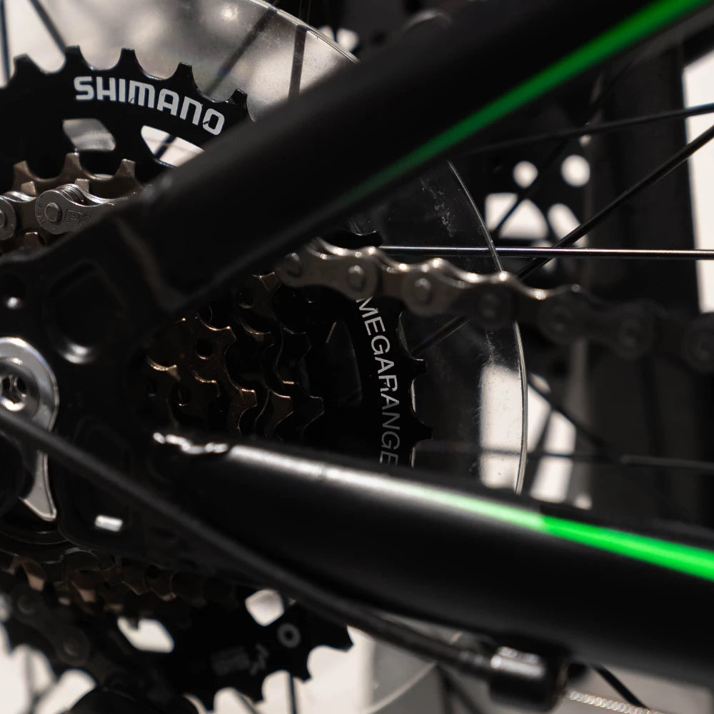 24" Link Viper MTB Boys