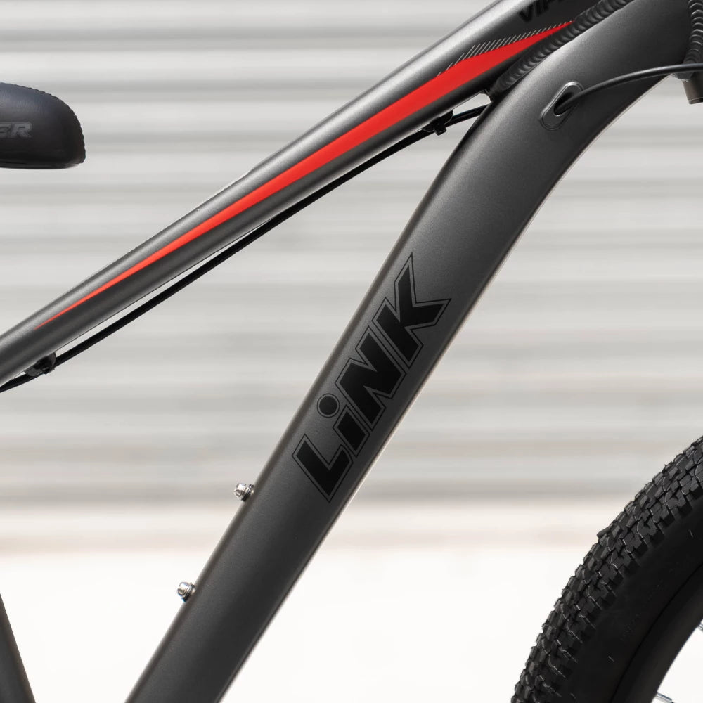 24" Link Viper MTB Boys