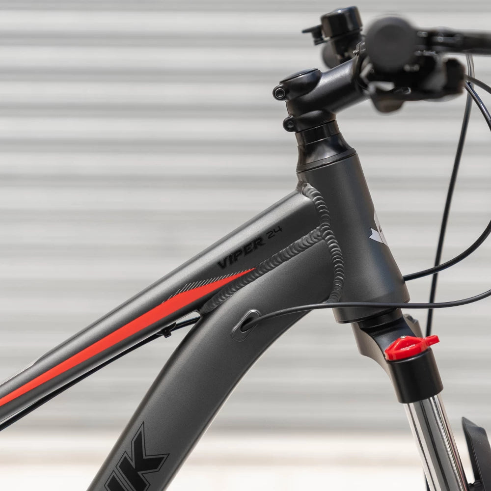 24" Link Viper MTB Boys