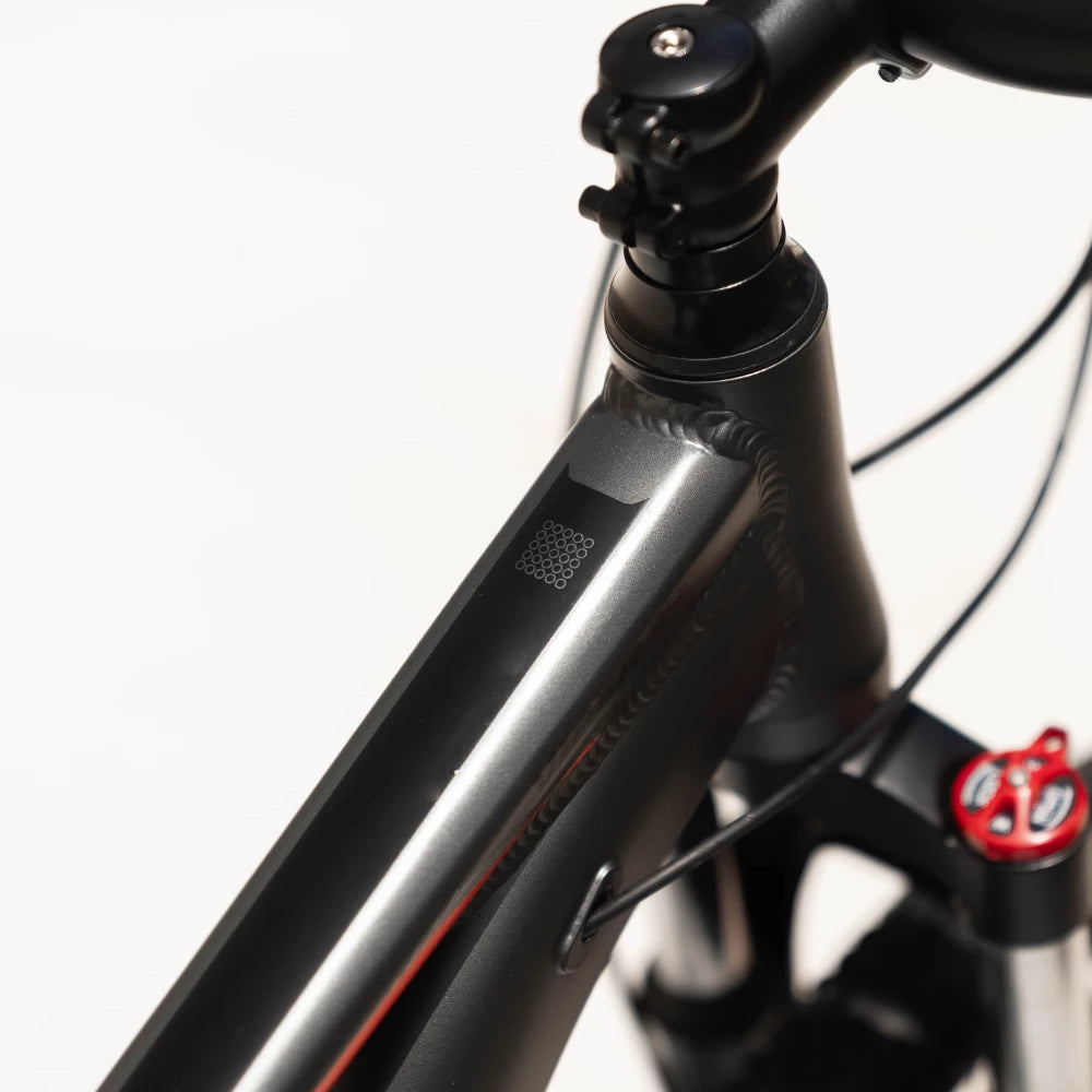 24" Link Viper MTB Boys