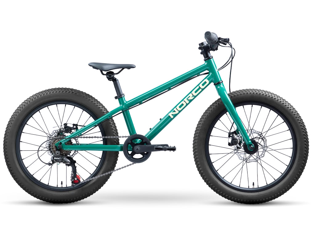 20" Norco Storm Disc Rigid (2027)