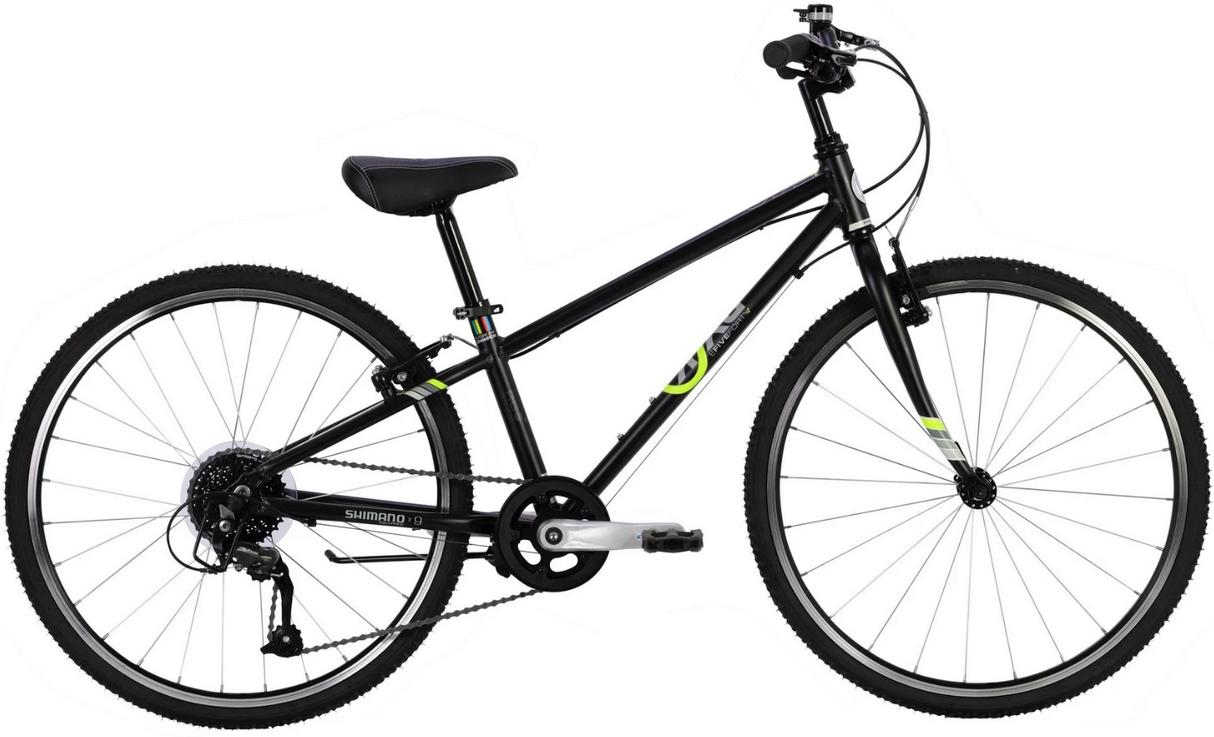 24" BYK E-540 Boys 9-Speed