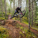 Norco Sight A2 (2026)