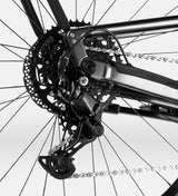 Orbea Diem 30 (2025)