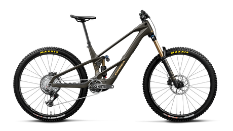 Orbea Wild LT M-Team RS (2027)