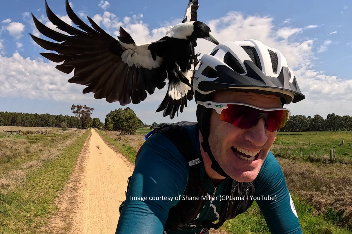 PieProof Cycle Helmet
