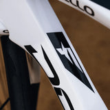 Pinarello Dogma F Disc