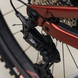 Rocky Mountain Altitude C70 Carbon (2023)