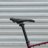 Rocky Mountain Solo 50 Alloy (2024)