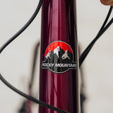 Rocky Mountain Solo 50 Alloy (2024)