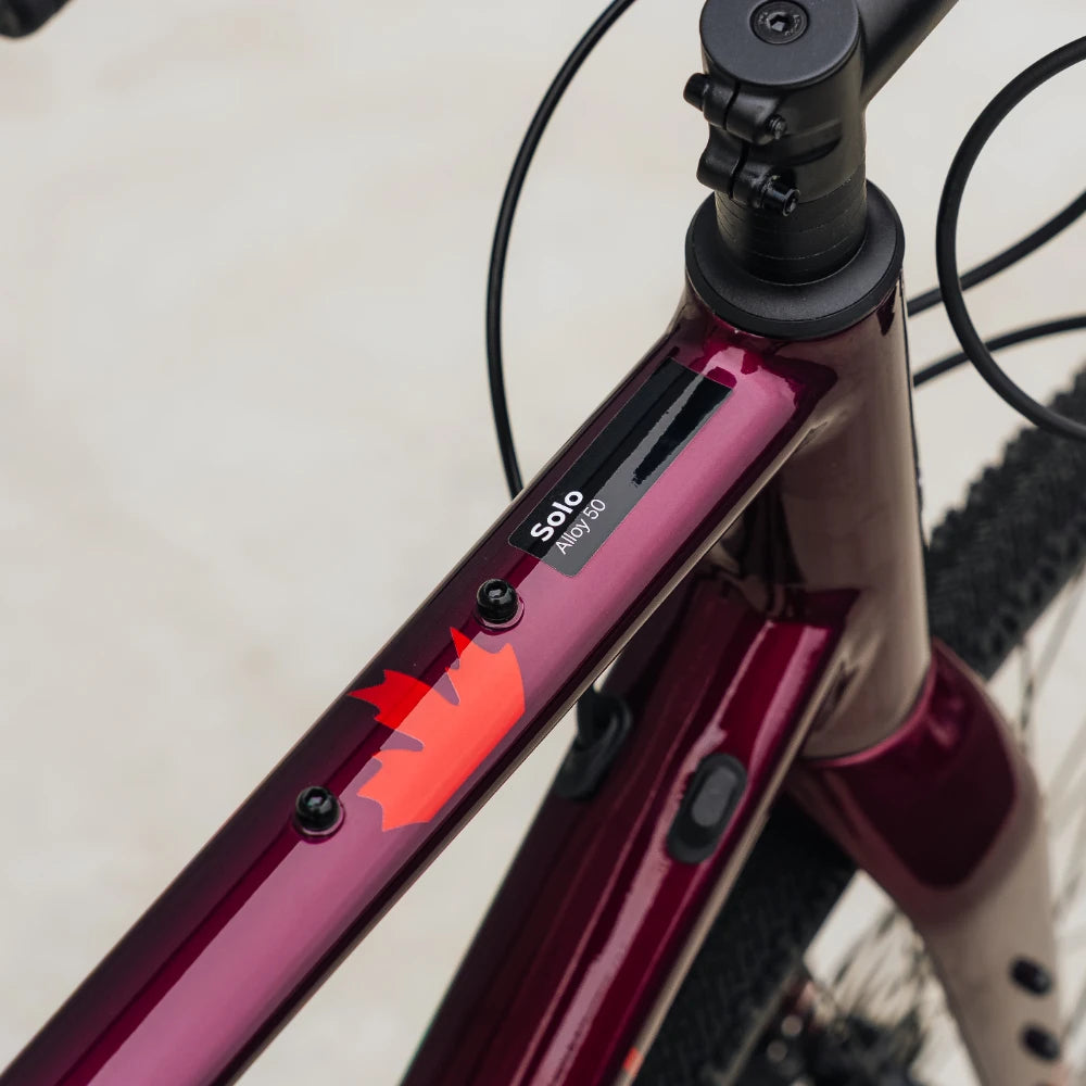 Rocky Mountain Solo 50 Alloy (2024)