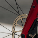 Rocky Mountain Solo 50 Alloy (2024)