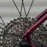 Rocky Mountain Solo 50 Alloy (2024)