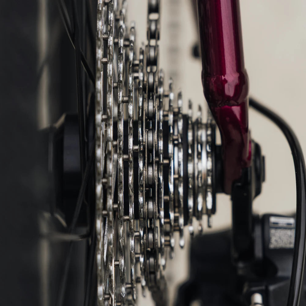 Rocky Mountain Solo 50 Alloy (2024)