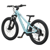20" Scott Roxter 200