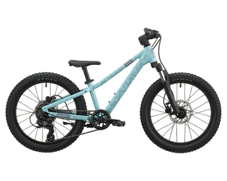 20" Scott Roxter 200