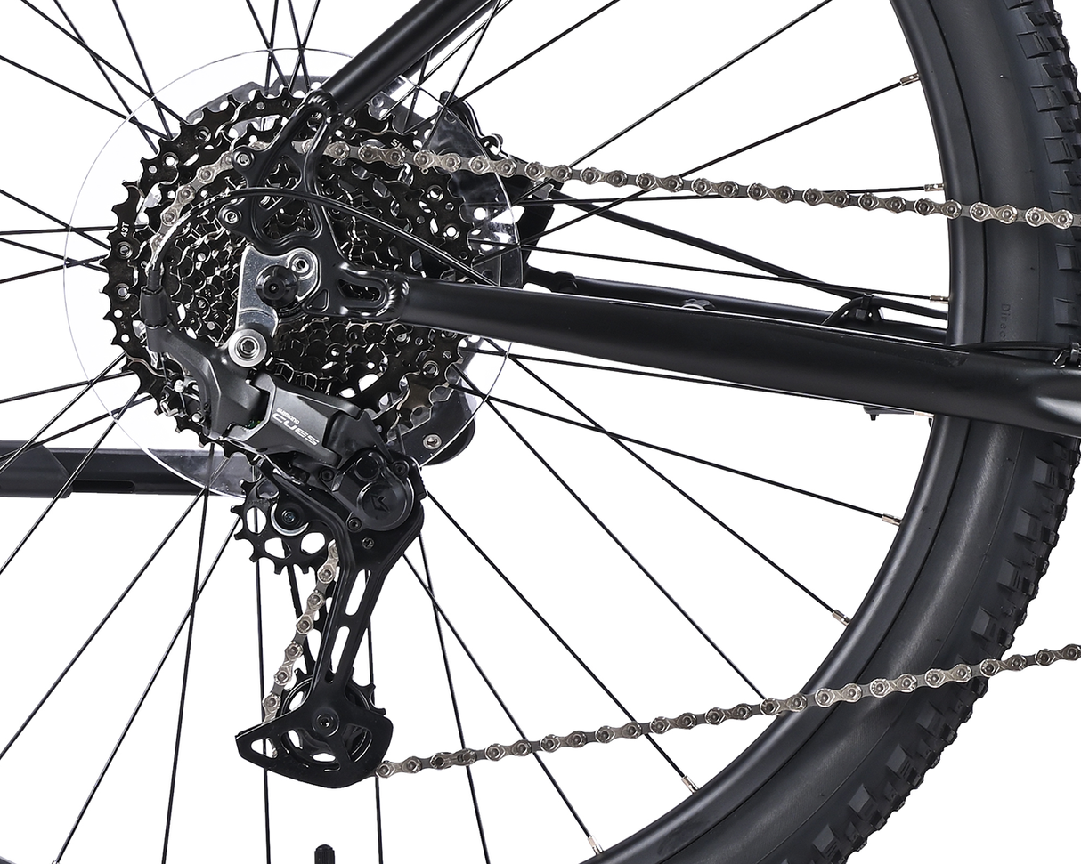 Velectrix Ascent X
