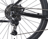 Velectrix Ascent X