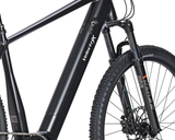 Velectrix Ascent X