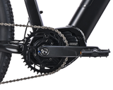 Velectrix Ascent X