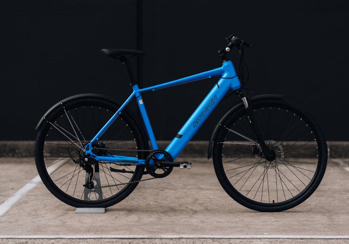 E-Bike Shogun EB3