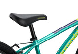 20" Cannondale Kids Trail Single Speed